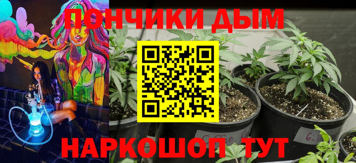 Каннабис OG Kush Феодосия